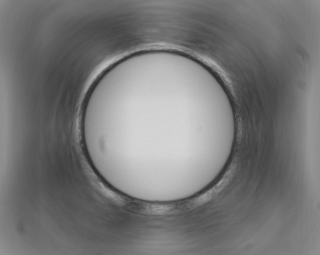 X0000113021278200908271026