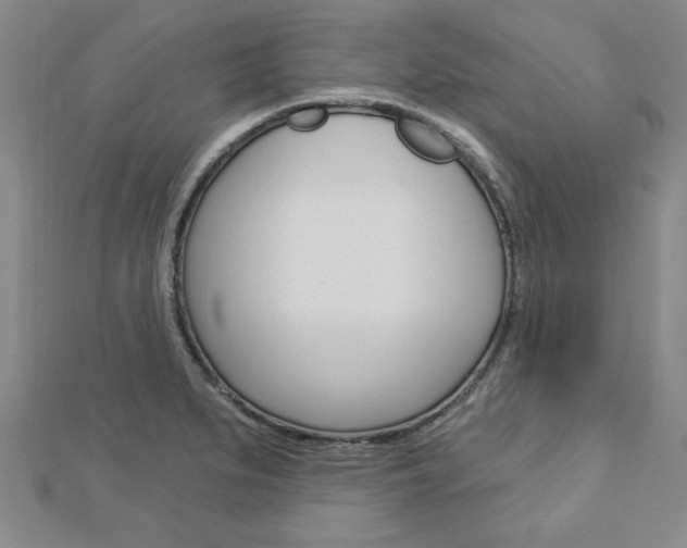 X0000113021279200908271026