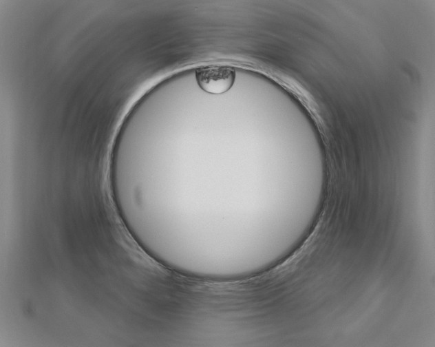 X0000113021280200908271026