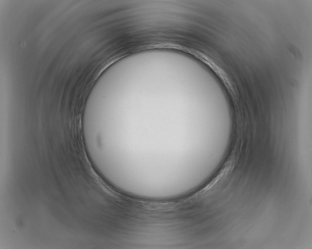 X0000113021281200908271026