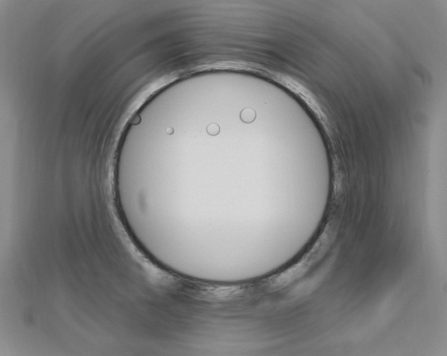 X0000113021282200908271026
