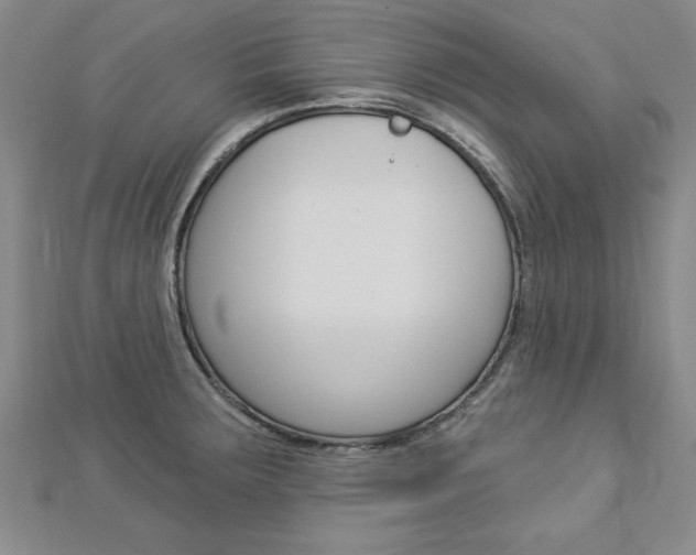 X0000113021283200908271026