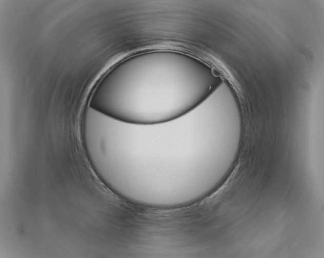 X0000113021284200908271025