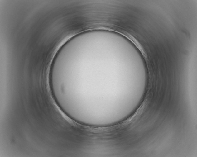 X0000113021285200908271025