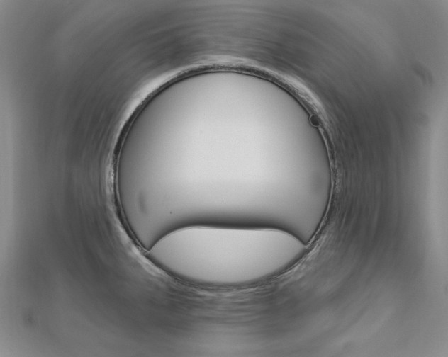 X0000113021287200908271025