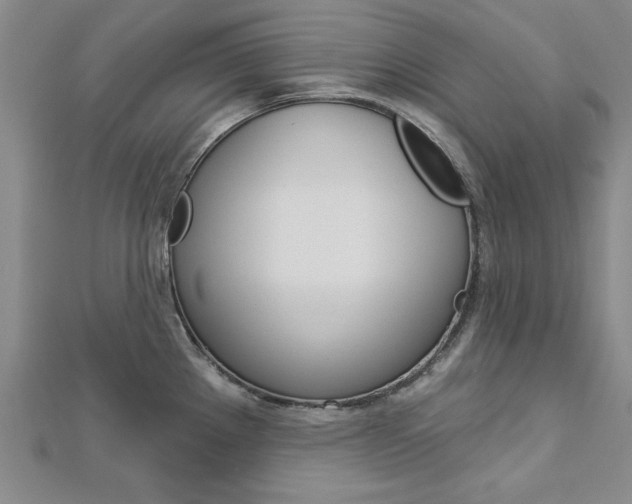 X0000113021289200908271025