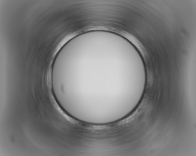 X0000113021290200908271025