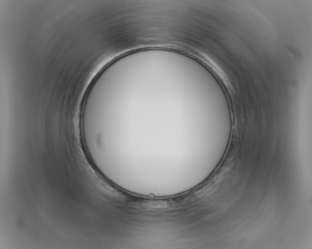 X0000113021291200908271025