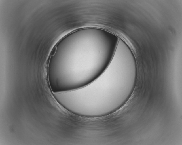 X0000113021292200908271025