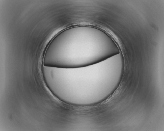 X0000113021293200908271025