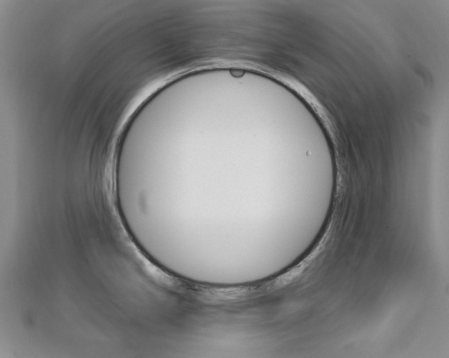 X0000113021294200908271025