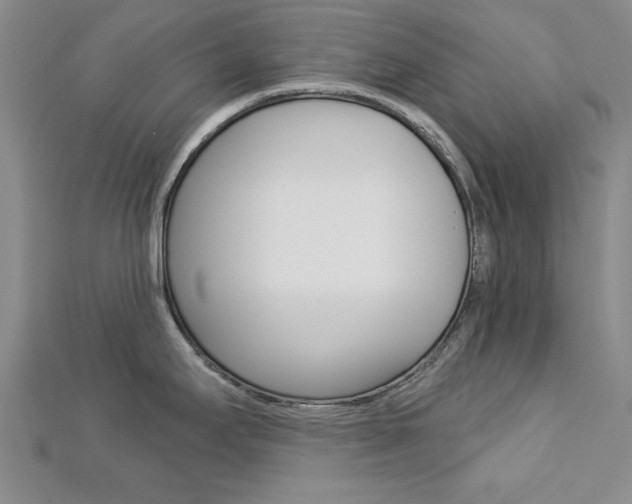 X0000113021295200908271025