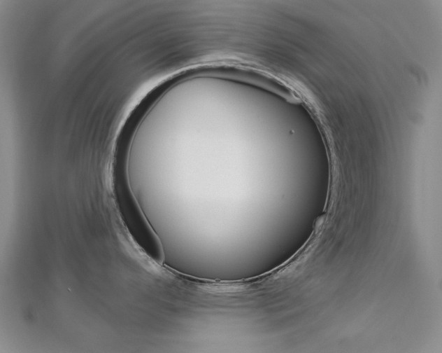 X0000113021296200908271025