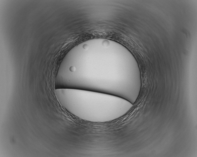 X0000113021297200908271025