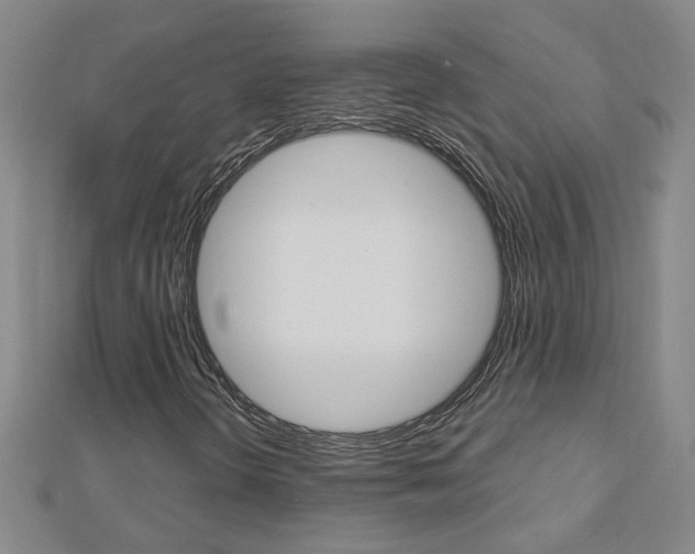 X0000113021298200908271025