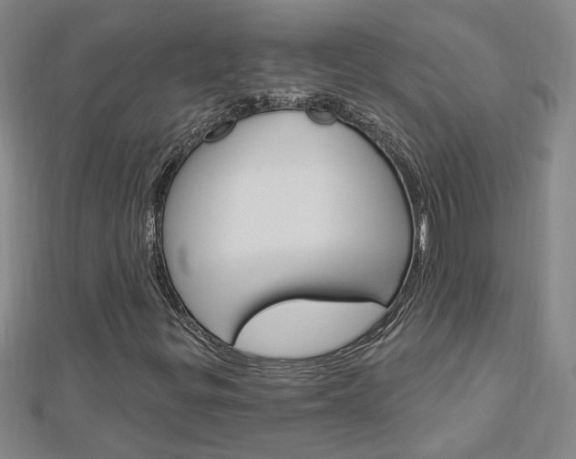 X0000113021299200908271025