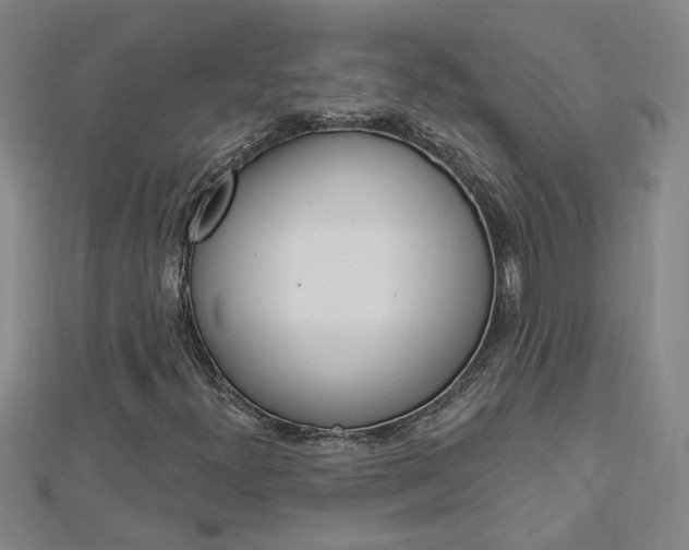 X0000113021300200908271025