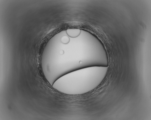 X0000113021301200908271025
