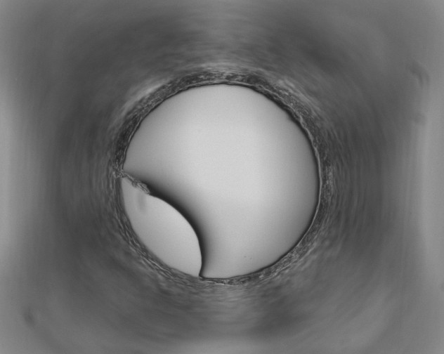 X0000113021302200908271025