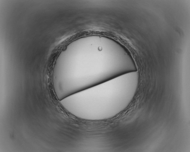 X0000113021303200908271025