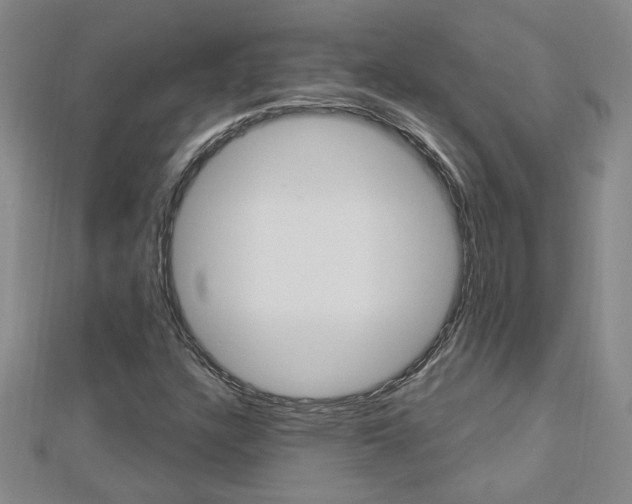 X0000113021304200908271025