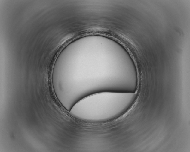 X0000113021305200908271025