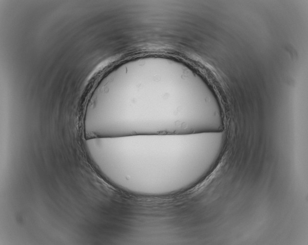 X0000113021306200908271025