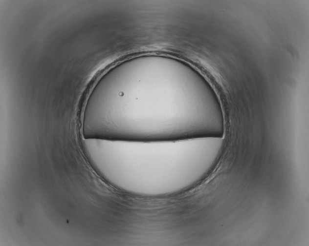 X0000113021308200908271025