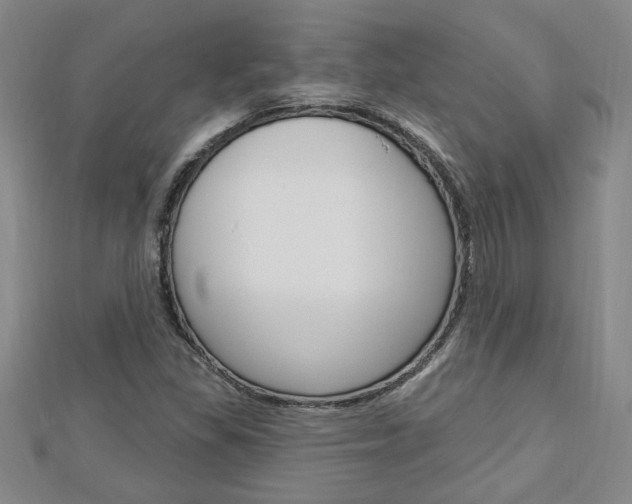X0000113021309200908271025