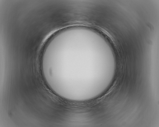 X0000113021310200908271025