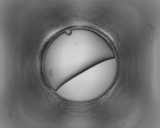 X0000113021311200908271025