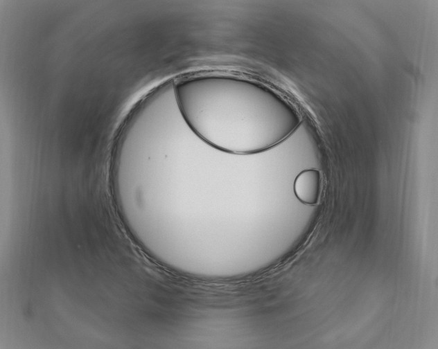 X0000113021312200908271025