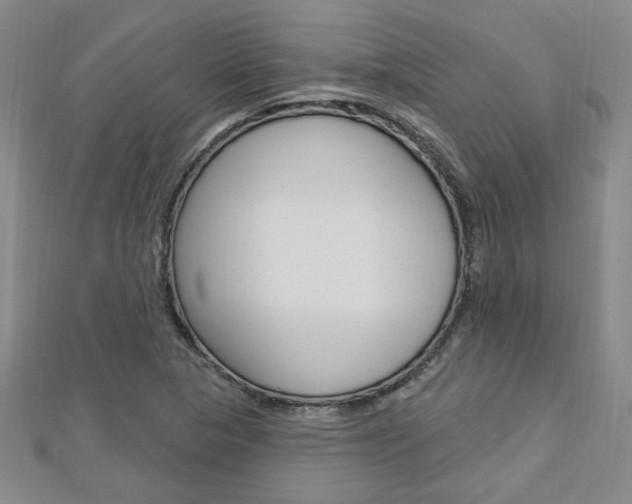 X0000113021313200908271025