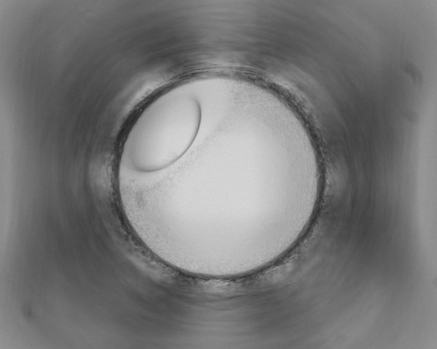 X0000113021314200908271025