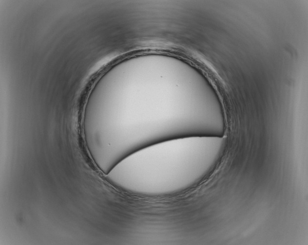 X0000113021315200908271025