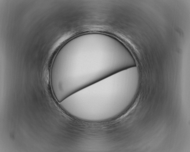 X0000113021317200908271025