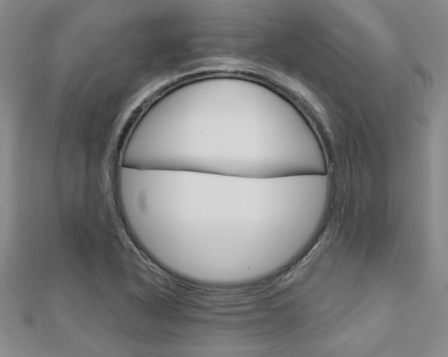 X0000113021318200908271025