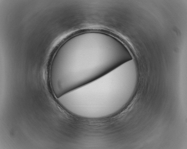 X0000113021319200908271025