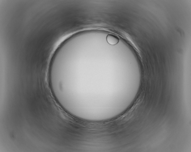 X0000113021320200908271025