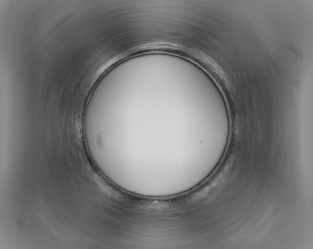 X0000113021321200908271025