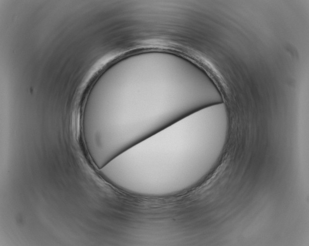 X0000113021323200908271025