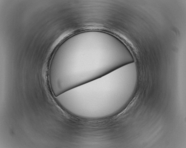 X0000113021325200908271025