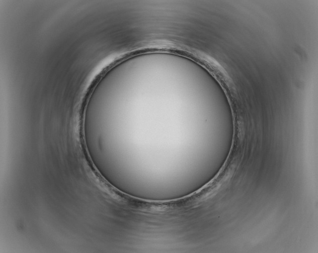 X0000113021326200908271025