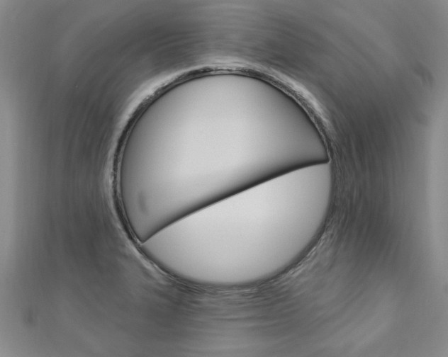 X0000113021327200908271025