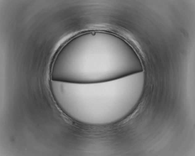 X0000113021328200908271025