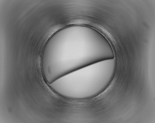 X0000113021329200908271025