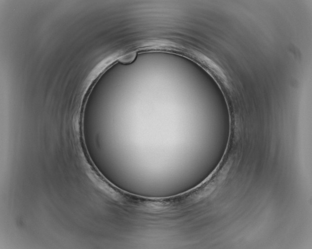 X0000113021330200908271025