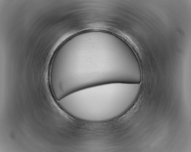 X0000113021331200908271025