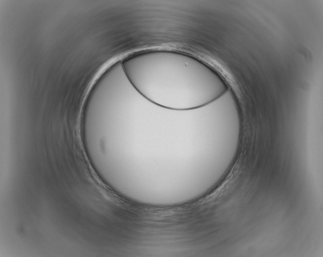 X0000113021332200908271025