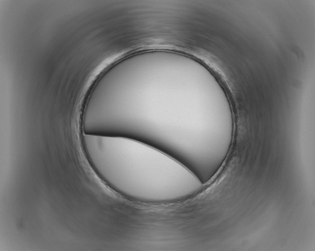 X0000113021333200908271025